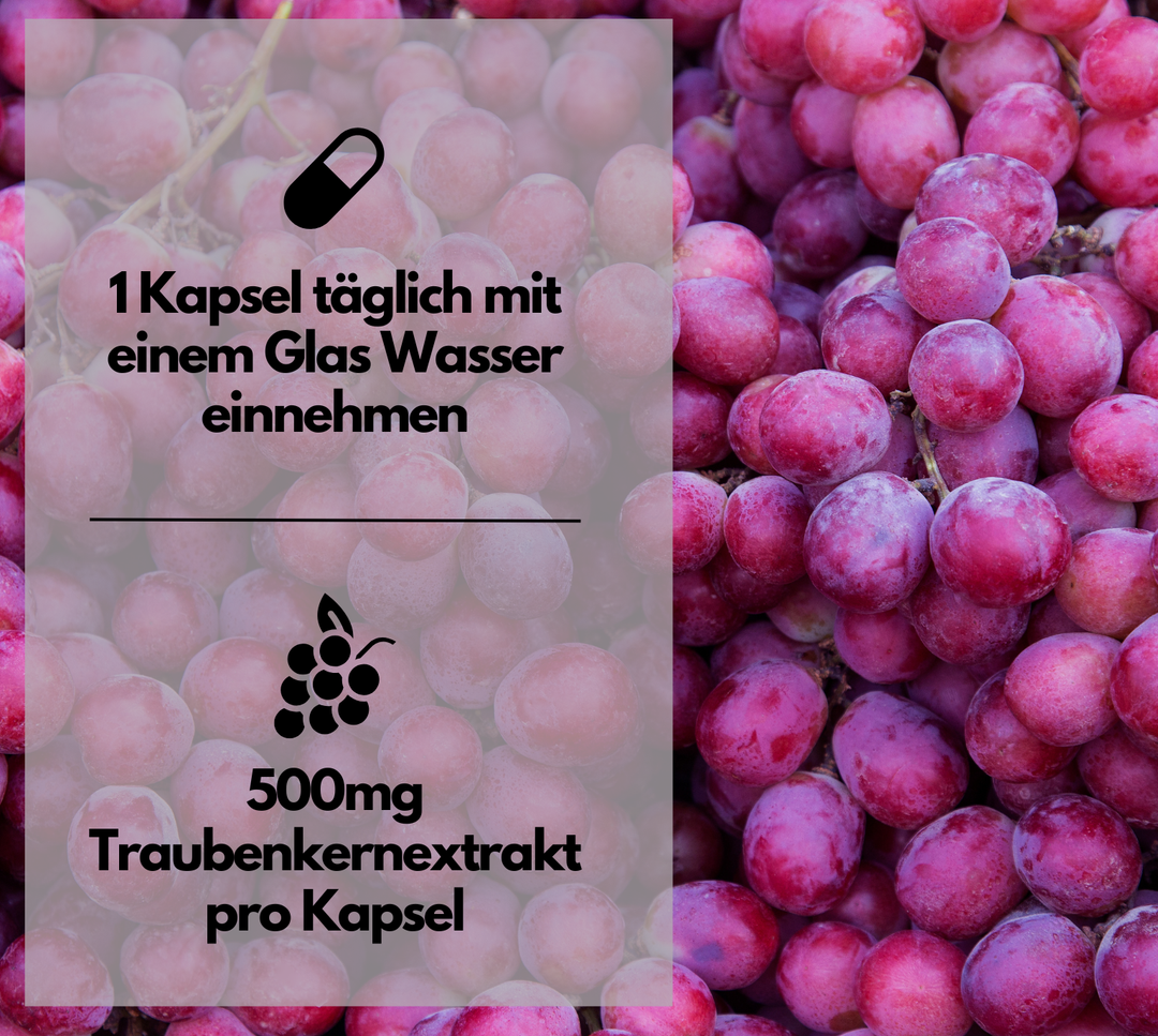 OPC Traubenkernextrakt Kapseln, hochdosiert, 240 Stück von EXVital