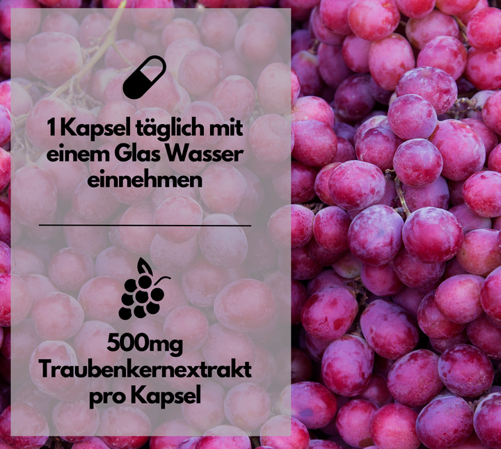 OPC Traubenkernextrakt Kapseln, hochdosiert, 240 Stück von EXVital