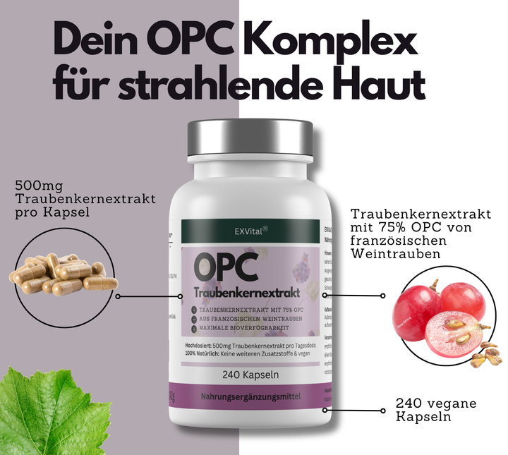 OPC Traubenkernextrakt Kapseln, hochdosiert, 240 Stück von EXVital