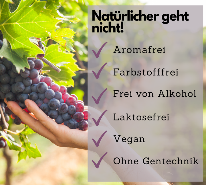 OPC Traubenkernextrakt Kapseln, hochdosiert, 240 Stück von EXVital