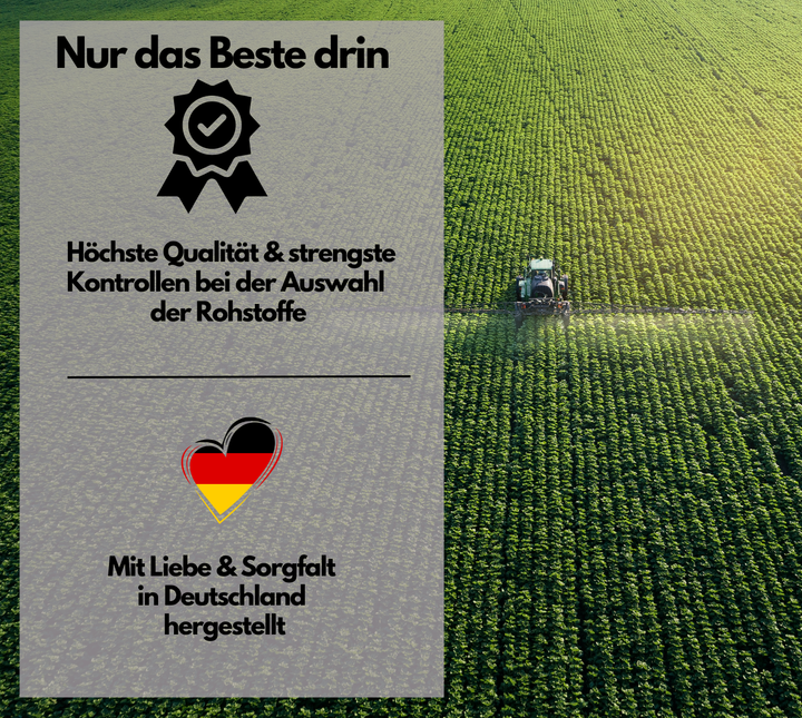 OPC Traubenkernextrakt Kapseln, hochdosiert, 240 Stück von EXVital