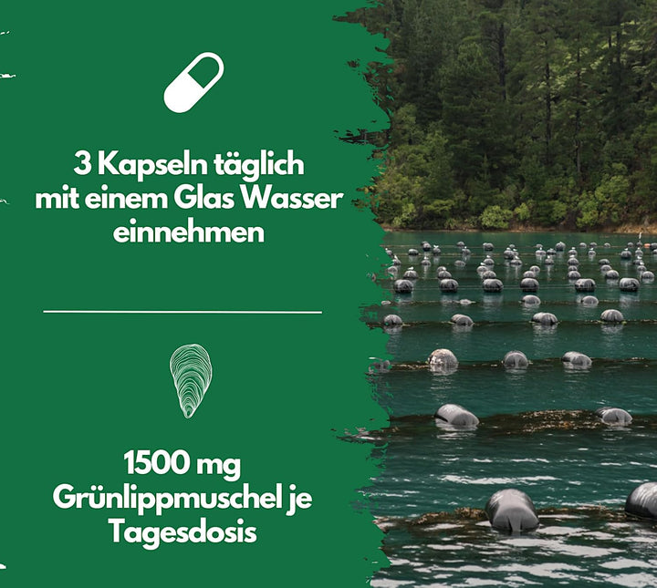 Grünlippmuschel hochdosiert von EXVital, 300 Kapseln