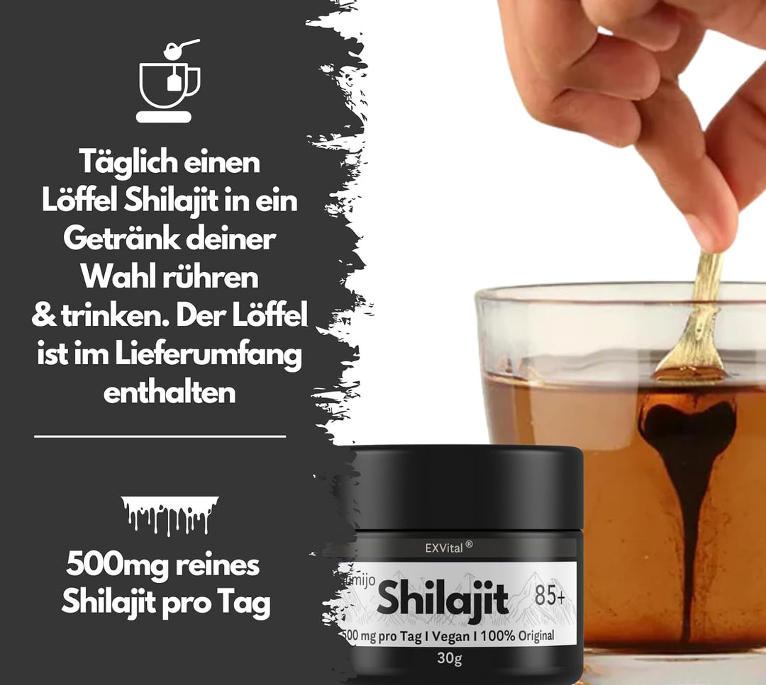 Mumijo Shilajit 85+ von EXVital