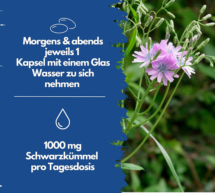 Schwarzkümmelöl, aus ägyptischen Anbau von EXVital, 400 Softgel Kapseln