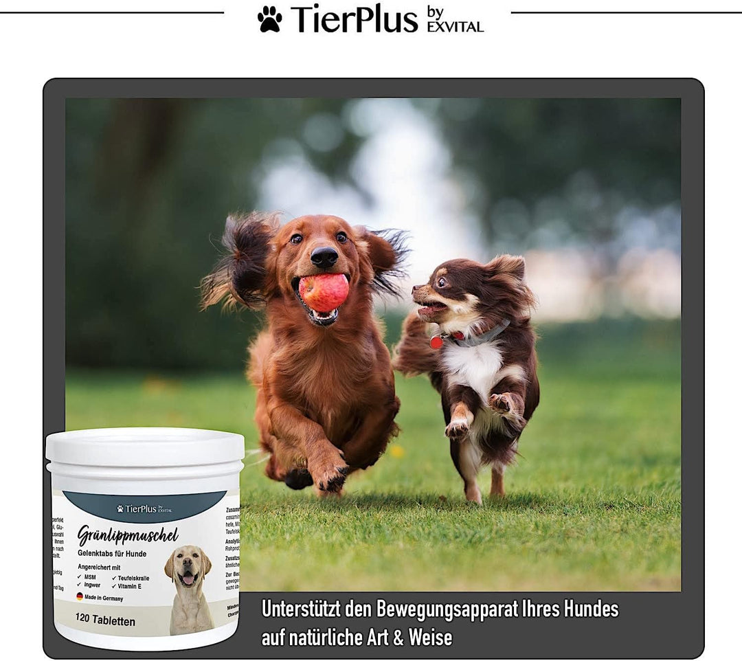 Grünlippmuschel Plus - Gelenktabletten für Hunde