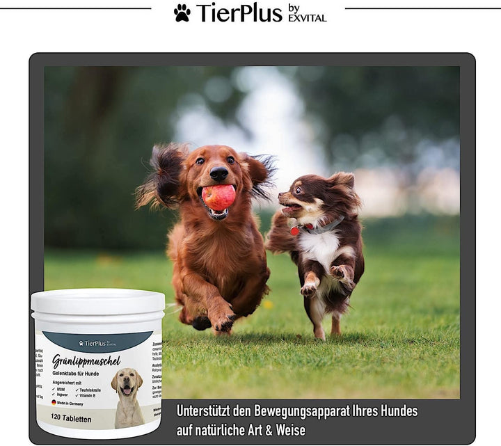 Grünlippmuschel Plus - Gelenktabletten für Hunde