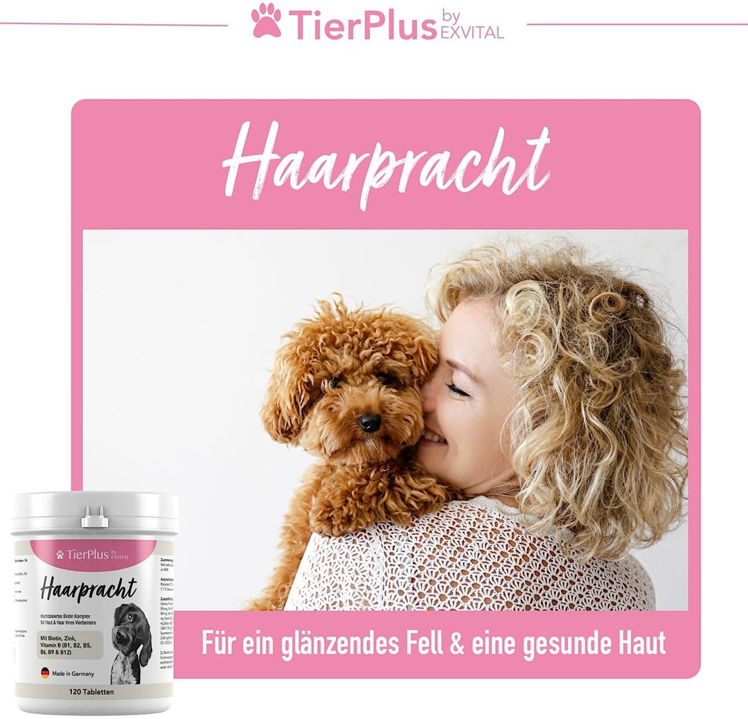 Haarpracht Tabletten - hochdosiertes Biotin Komplex für Hunde