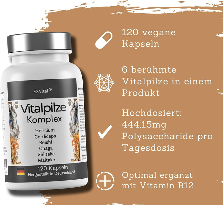 Vitalpilze Komplex- Hericium, Cordyceps, Reishi, Chaga, Shiitake &amp; Maitake von EXVital