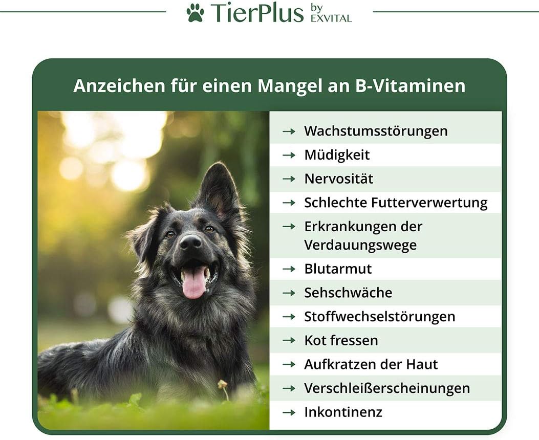 Vitamin B Komplex für Hunde &amp; Katzen