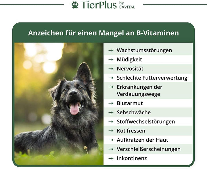 Vitamin B Komplex für Hunde &amp; Katzen