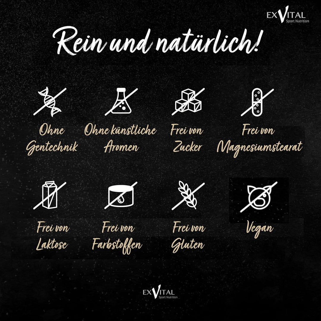 Mumijo Shilajit Kapseln, hochdosiert von EXVital