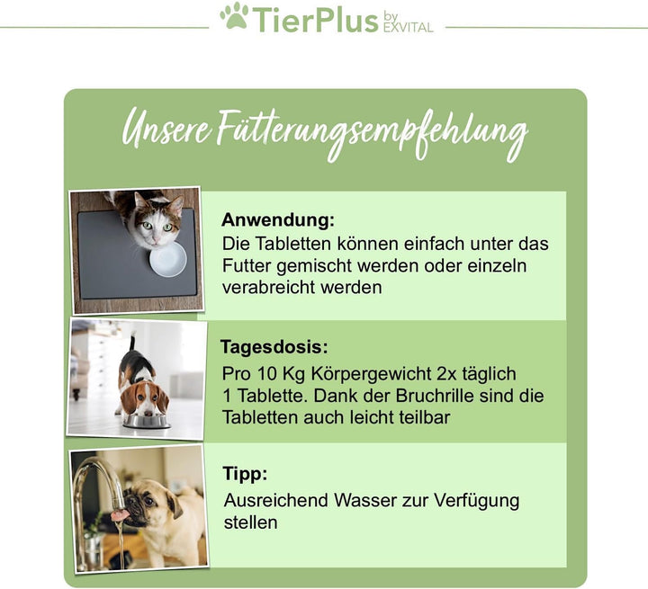 TierPlus Darm Aktiv Tabletten für Hunde &amp; Katzen, Präbiotika Komplex von EXVital