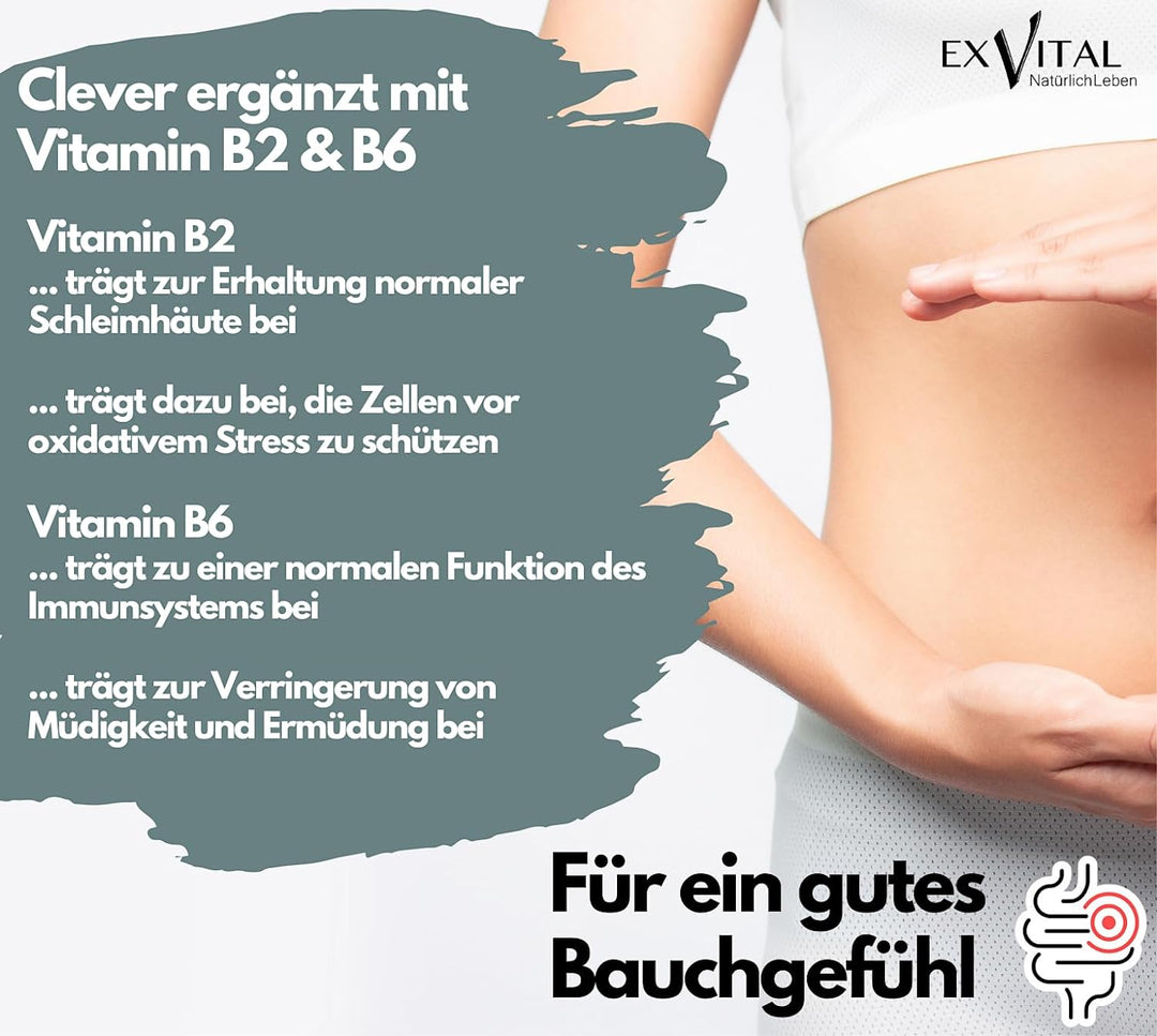Flora+ Kulturen Komplex mit 500 Mrd. KBE/g - 22 Bakterienkulturen von EXVital