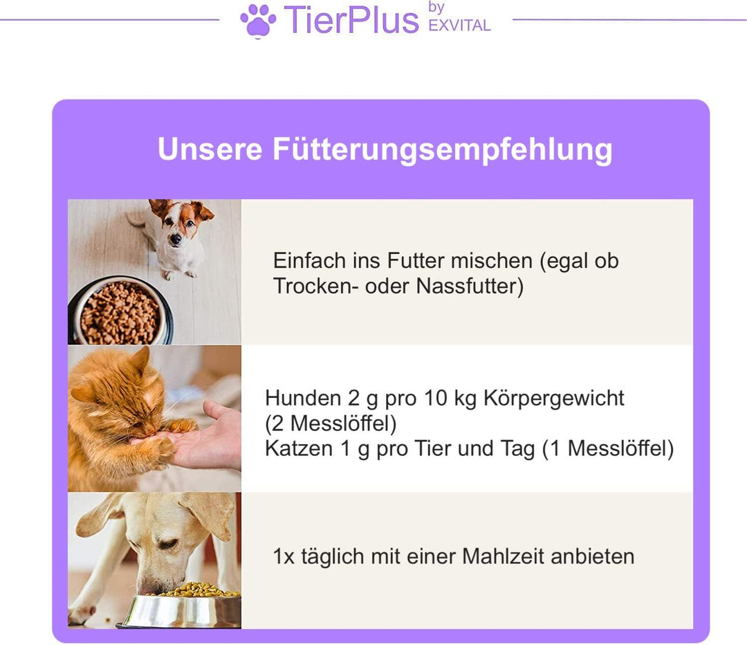 TierPlus Gelenkpulver für Hunde &amp; Katzen mit Grünlippmuschel von EXVital