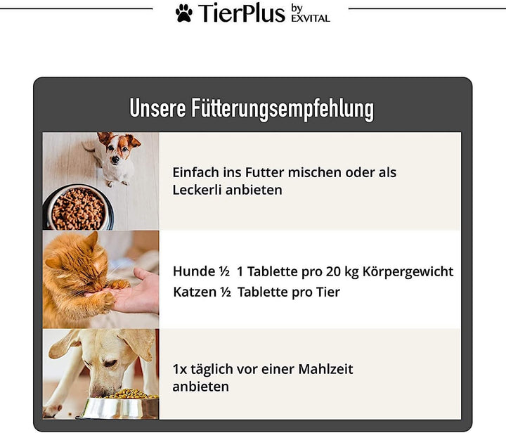 Grünlippmuschel Plus - Gelenktabletten für Hunde