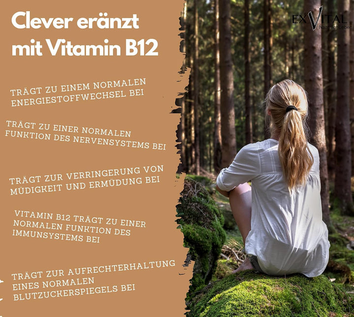 Vitalpilze Komplex- Hericium, Cordyceps, Reishi, Chaga, Shiitake &amp; Maitake von EXVital