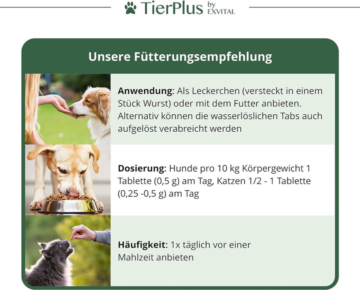 Vitamin B Komplex für Hunde &amp; Katzen