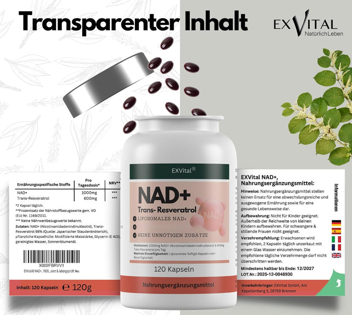 NAD+ Kapseln, hochdosiert 1000mg NAD+ &amp; 600mg Trans-Resveratrol pro Tag, 120 Stück von EXVital