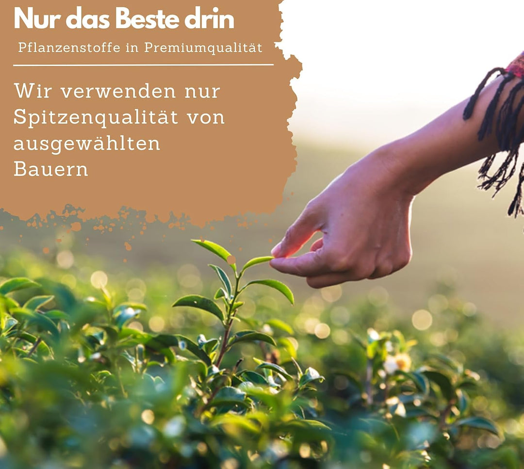 Vitalpilze Komplex- Hericium, Cordyceps, Reishi, Chaga, Shiitake &amp; Maitake von EXVital