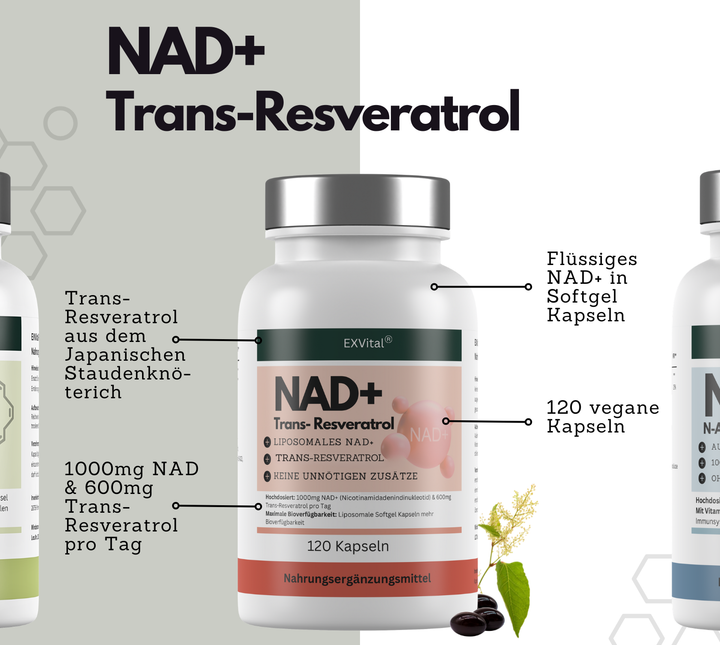 ZellPlus Set (NAD+, NAC &amp; R-Alpha Liponsäure Kapseln)