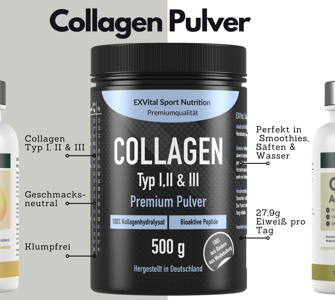 Daily Nutrition Set (Collagen Pulver, Omega 3 &amp; Vitamin E Kapseln)