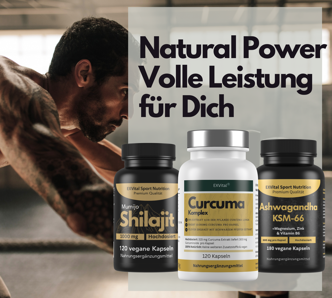 Natural Power Set (Curcuma Komplex, Shilajit &amp; Ashwagandha Kapseln)