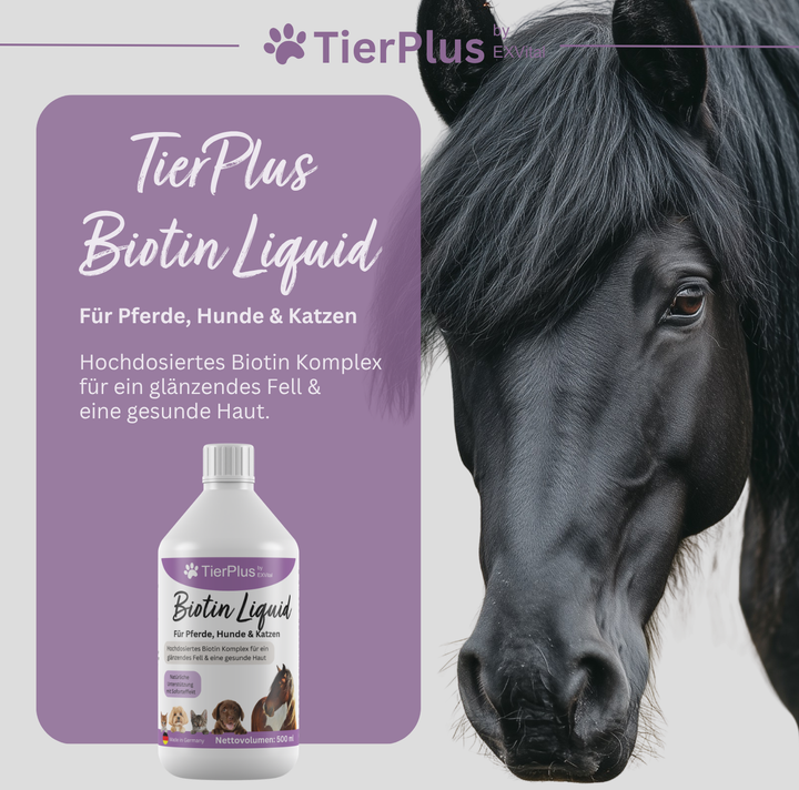 TierPlus Biotin Liquid für Pferde, Hunde &amp; Katzen