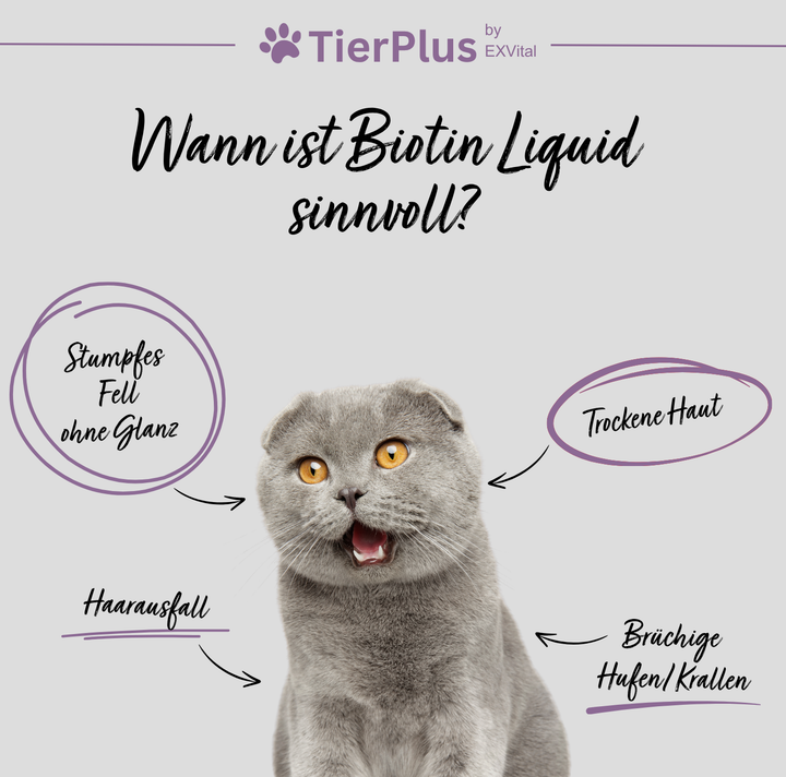 TierPlus Biotin Liquid für Pferde, Hunde &amp; Katzen