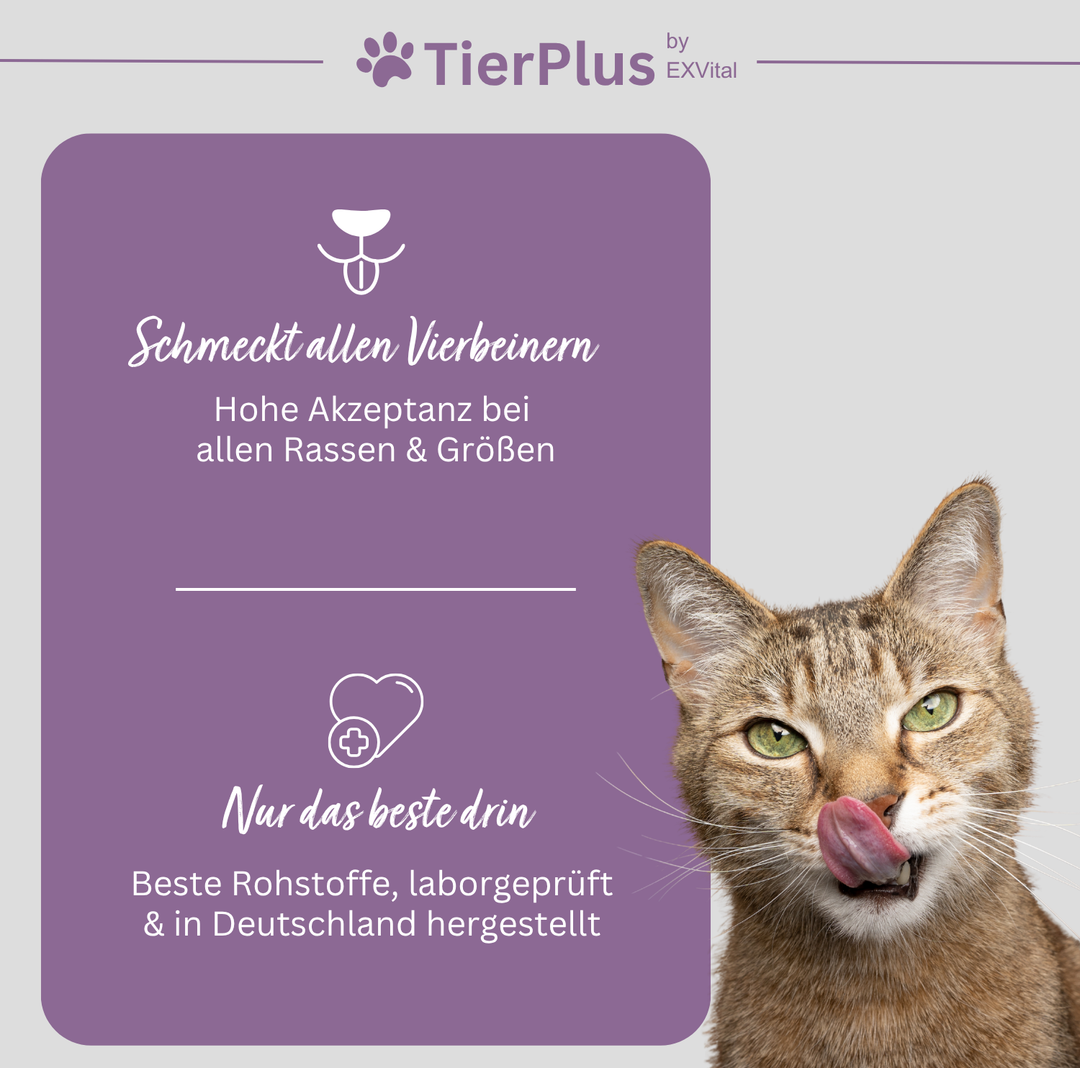 TierPlus Biotin Liquid für Pferde, Hunde &amp; Katzen