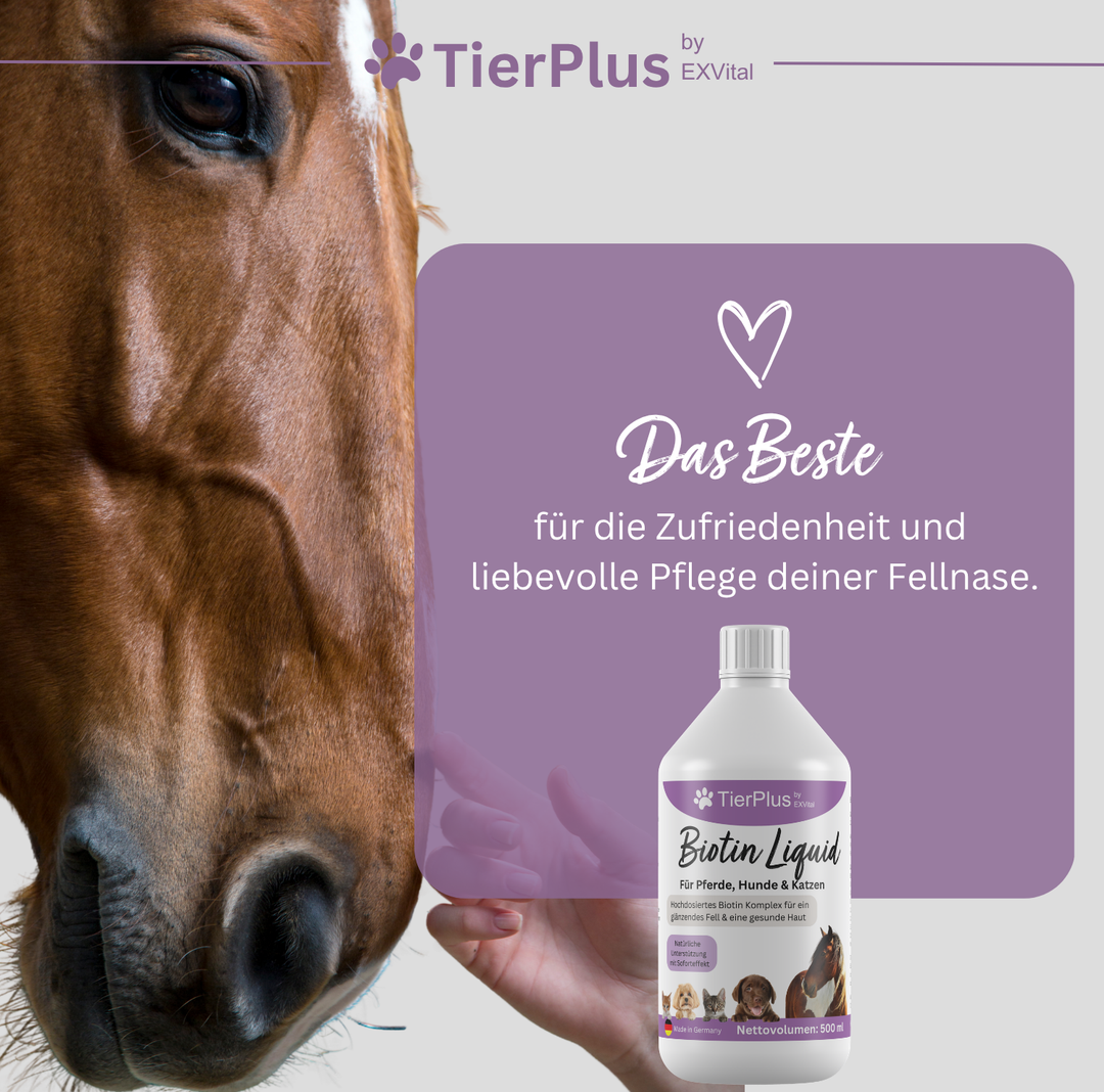 TierPlus Biotin Liquid für Pferde, Hunde &amp; Katzen