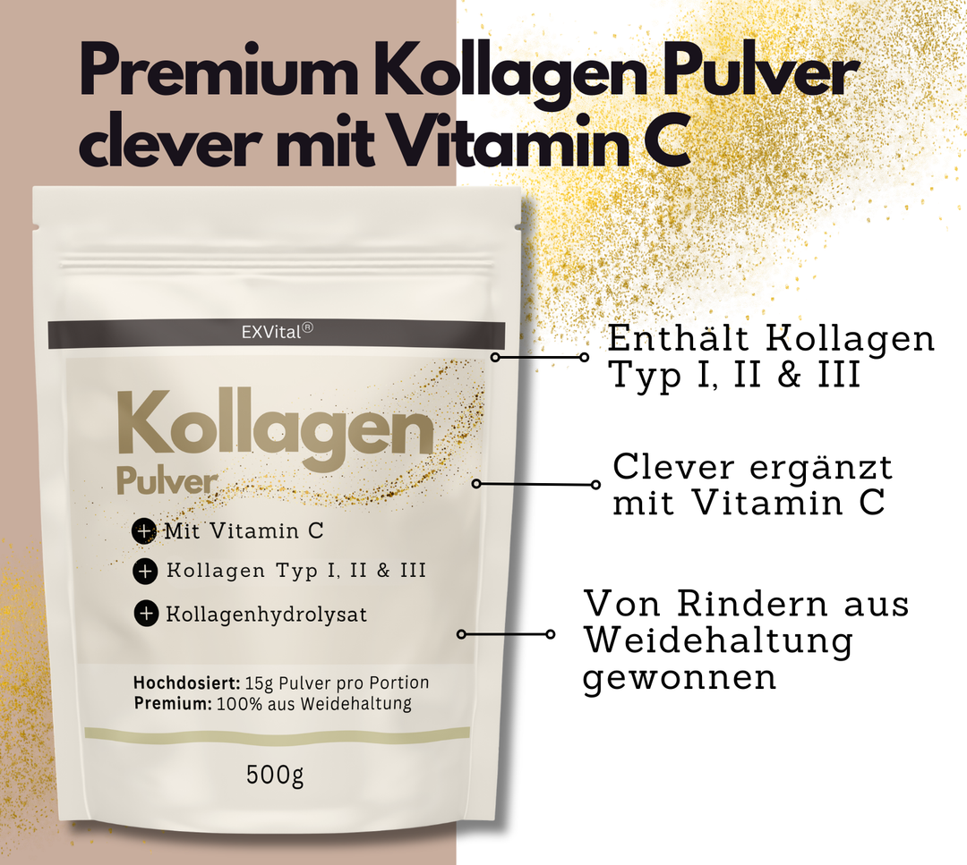Kollagen Pulver mit Vitamin C (500g) von EXVital