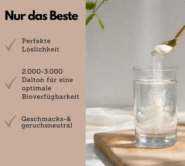 Kollagen Pulver mit Vitamin C (500g) von EXVital