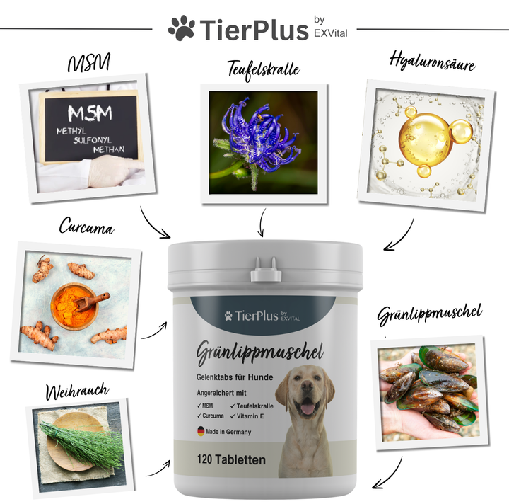 Grünlippmuschel Plus - Gelenktabletten für Hunde