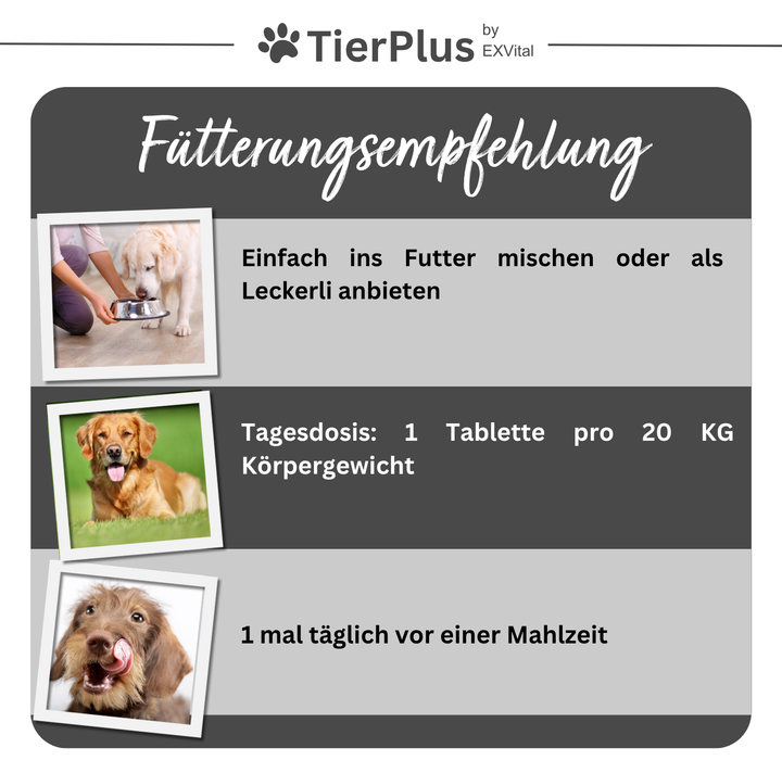 Grünlippmuschel Plus - Gelenktabletten für Hunde