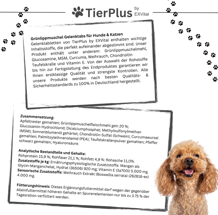 Grünlippmuschel Plus - Gelenktabletten für Hunde