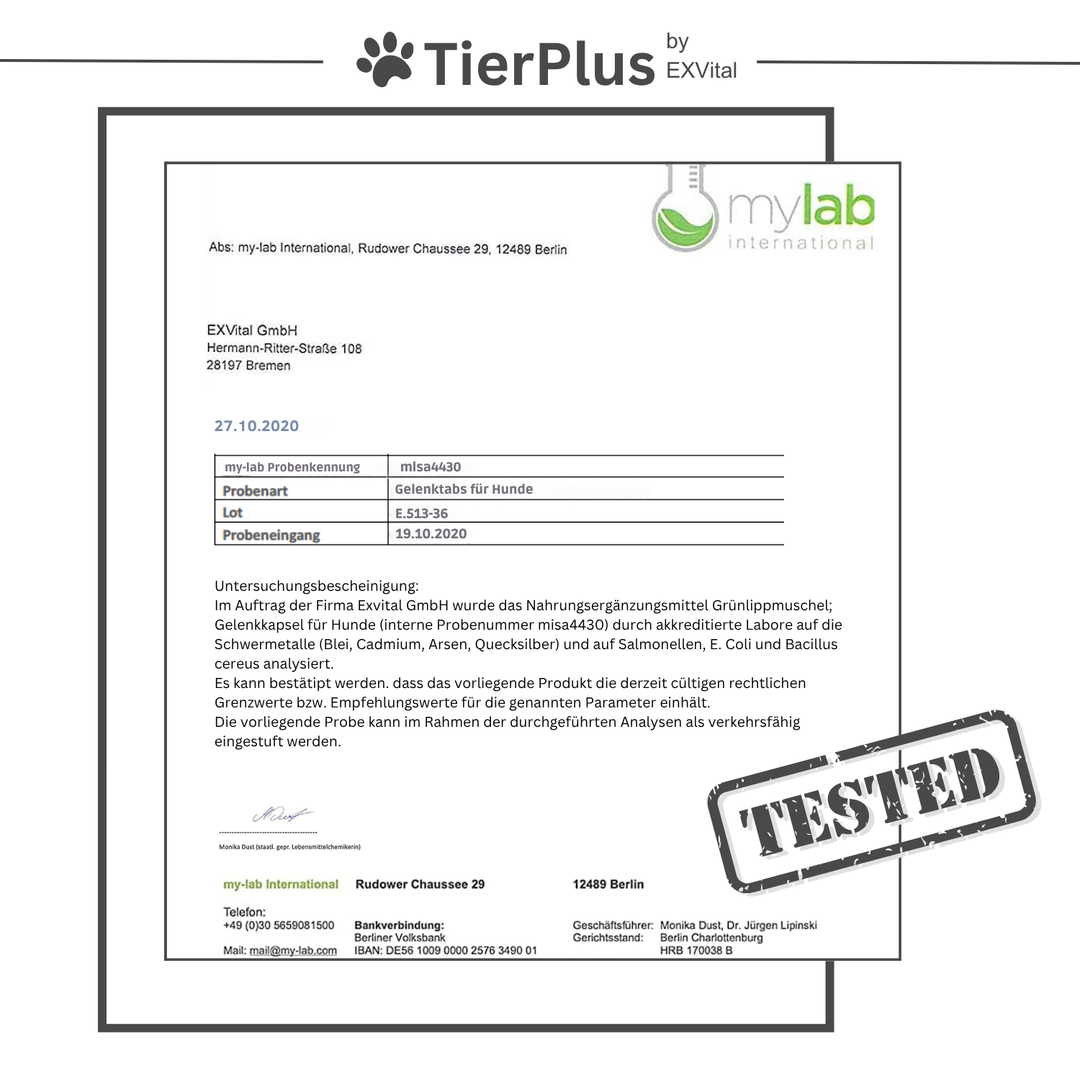 Grünlippmuschel Plus - Gelenktabletten für Hunde