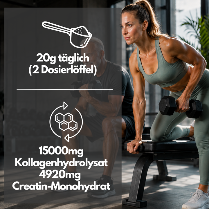 Kollagen + Creatin Mixpulver, 500g Dose von EXVital