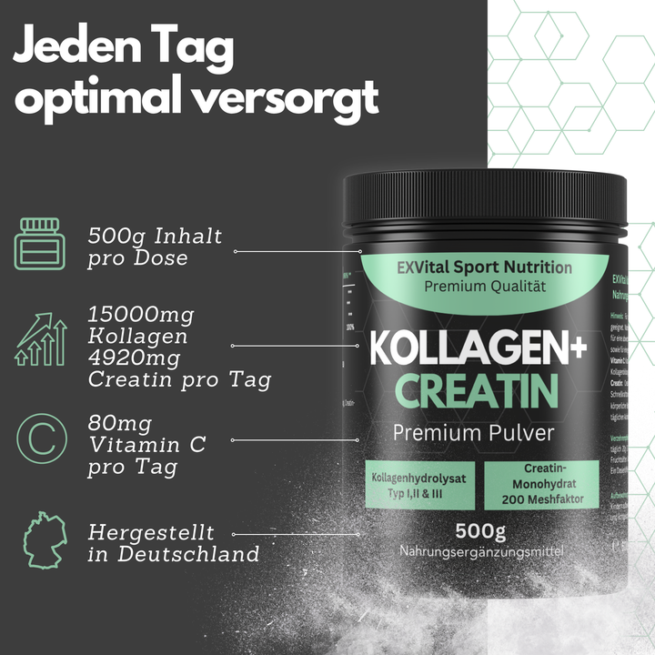 Kollagen + Creatin Mixpulver, 500g Dose von EXVital