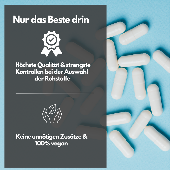 L-Arginin 4000 hochdosiert von EXVital Sport Nutrition, 320 Kapseln
