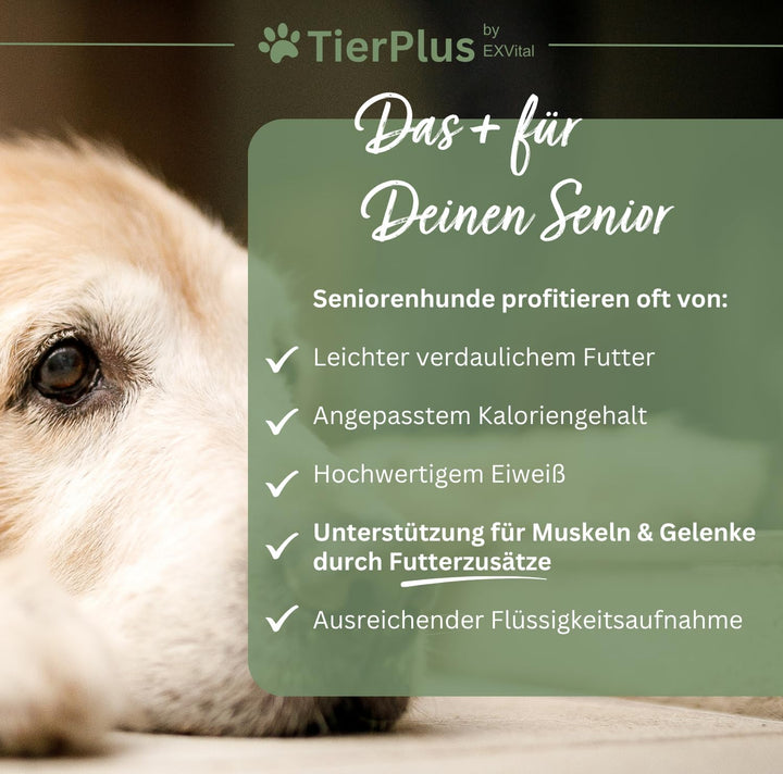 Long Life Vitalkomplex-Pulver für Hunde, mit Omega 3 Fettsäuren, Propolis &amp; mehr, TierPlus von EXVital
