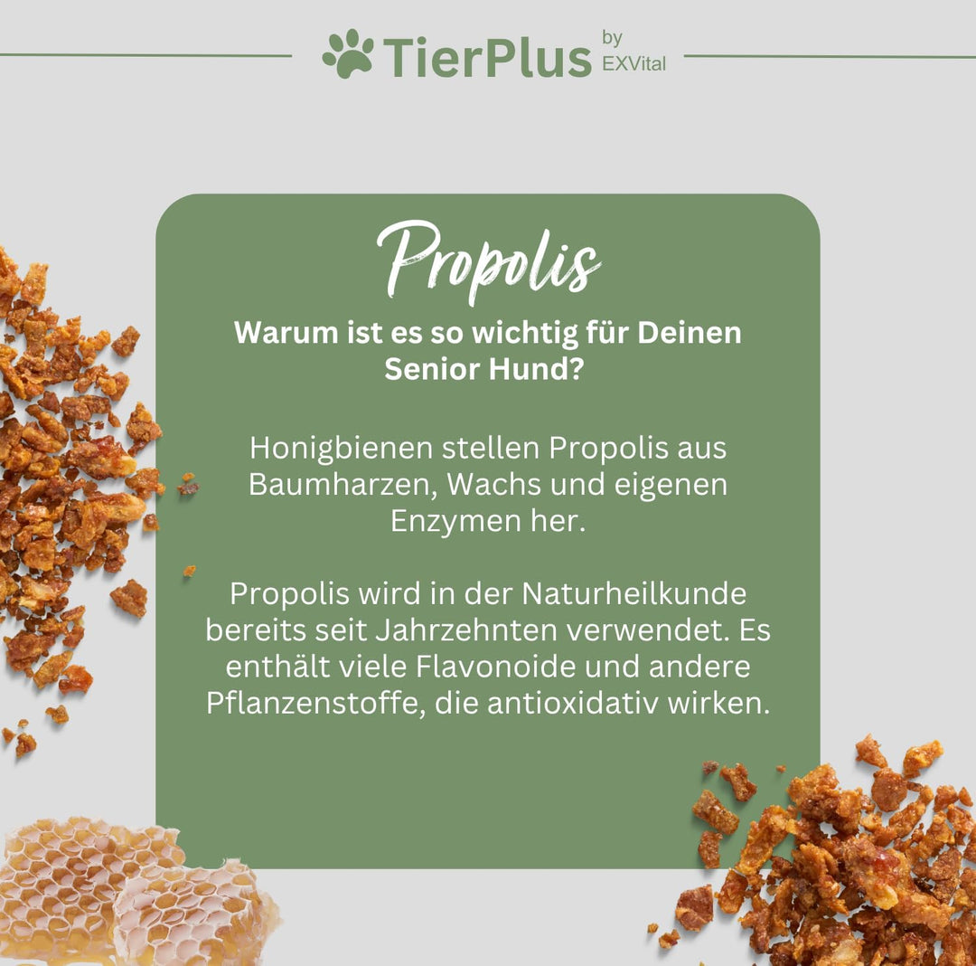 Long Life Vitalkomplex-Pulver für Hunde, mit Omega 3 Fettsäuren, Propolis &amp; mehr, TierPlus von EXVital