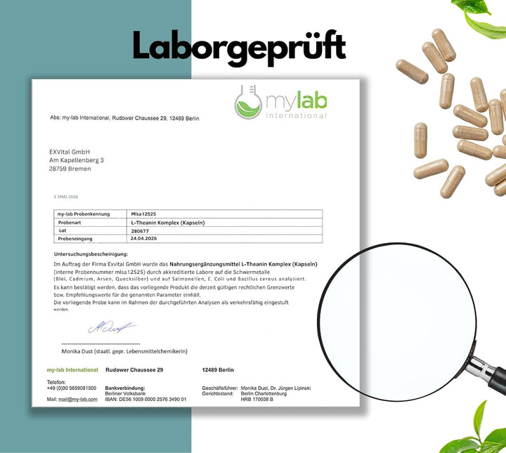 L-Theanin Komplex Kapseln mit Magnesium, Ashwagandha &amp; Vitamin B6 von EXVital