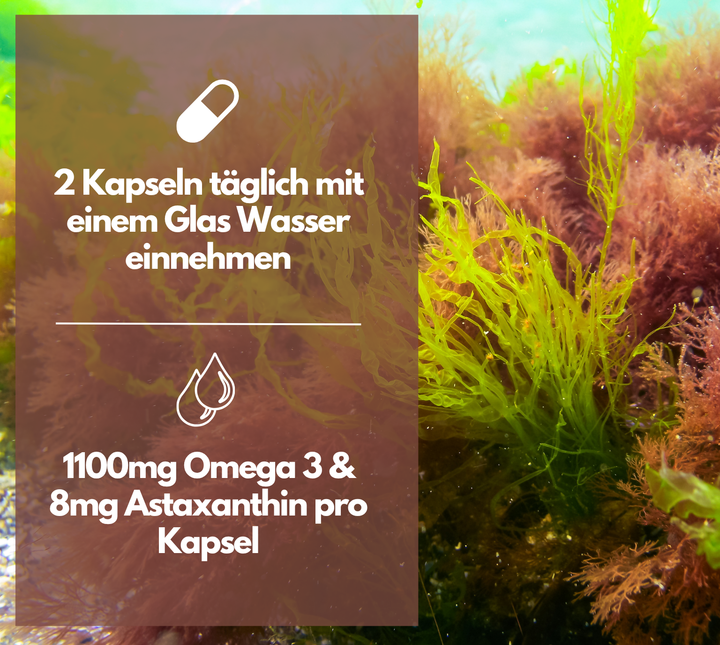 Omega 3 + Astaxanthin mit 600mg DHA &amp; 300mg EPA + 8mg Astaxanthin, 120 Stück von EXVital