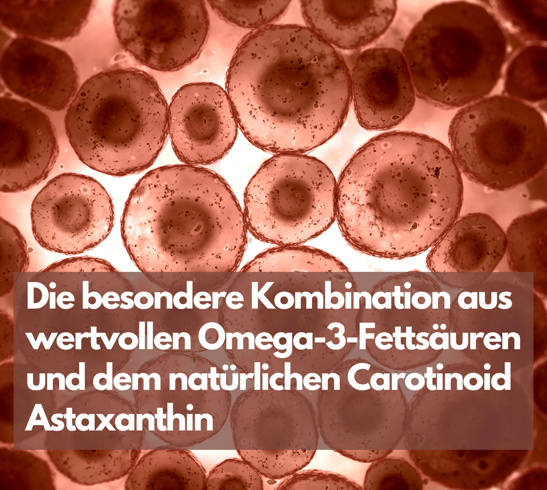 Omega 3 + Astaxanthin mit 600mg DHA &amp; 300mg EPA + 8mg Astaxanthin, 120 Stück von EXVital