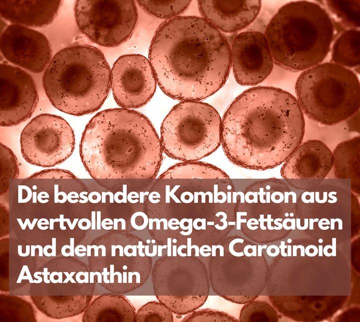 Omega 3 + Astaxanthin mit 600mg DHA &amp; 300mg EPA + 8mg Astaxanthin, 120 Stück von EXVital