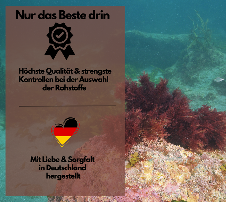 Omega 3 + Astaxanthin mit 600mg DHA &amp; 300mg EPA + 8mg Astaxanthin, 120 Stück von EXVital