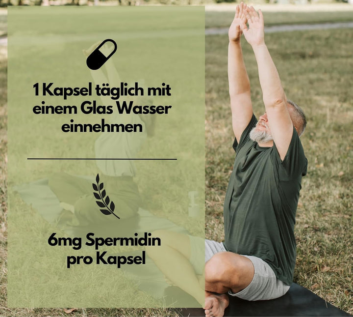 Spermidin Kapseln, 6mg Spermidin pro Kapsel, 120 Kapseln von EXVital