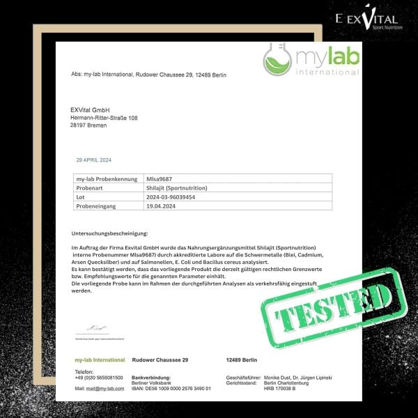 Mumijo Shilajit Kapseln, hochdosiert von EXVital