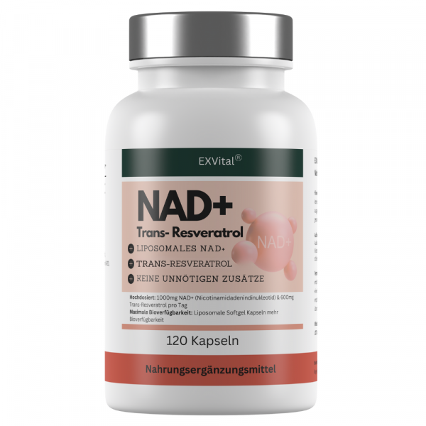 NAD+ Kapseln, hochdosiert 1000mg NAD+ & 600mg Trans-Resveratrol pro Tag, 120 Stück von EXVital