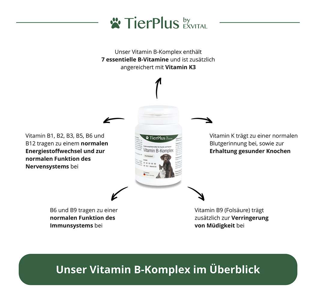 Vitamin B Komplex - Hunde & Katzen Von EXVital Tierplus